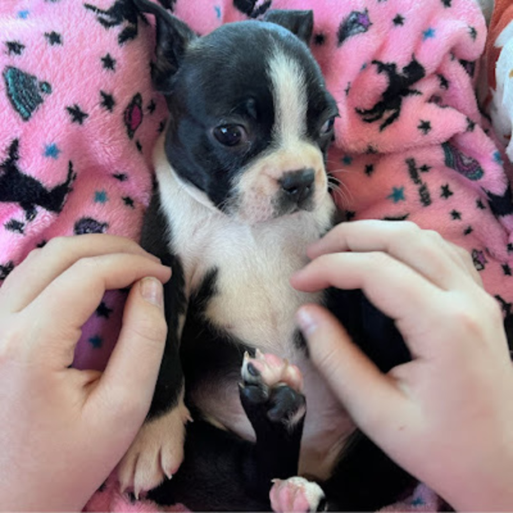 Meet your Posher, Alyssa